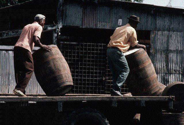 Men pushing barrels of rum